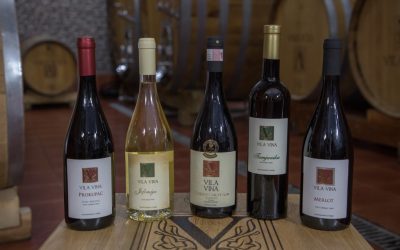 Priznanje na Sajmu Vina – “Wine Vision by Open Balkan”