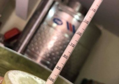 Tehnologija proizvodnje vina u Vinariji Milosavljević