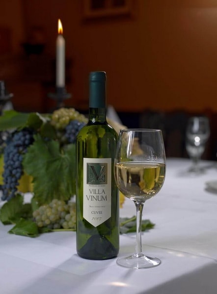 Sauvignon Blanc vinarije Milosavljević - Vina Vila