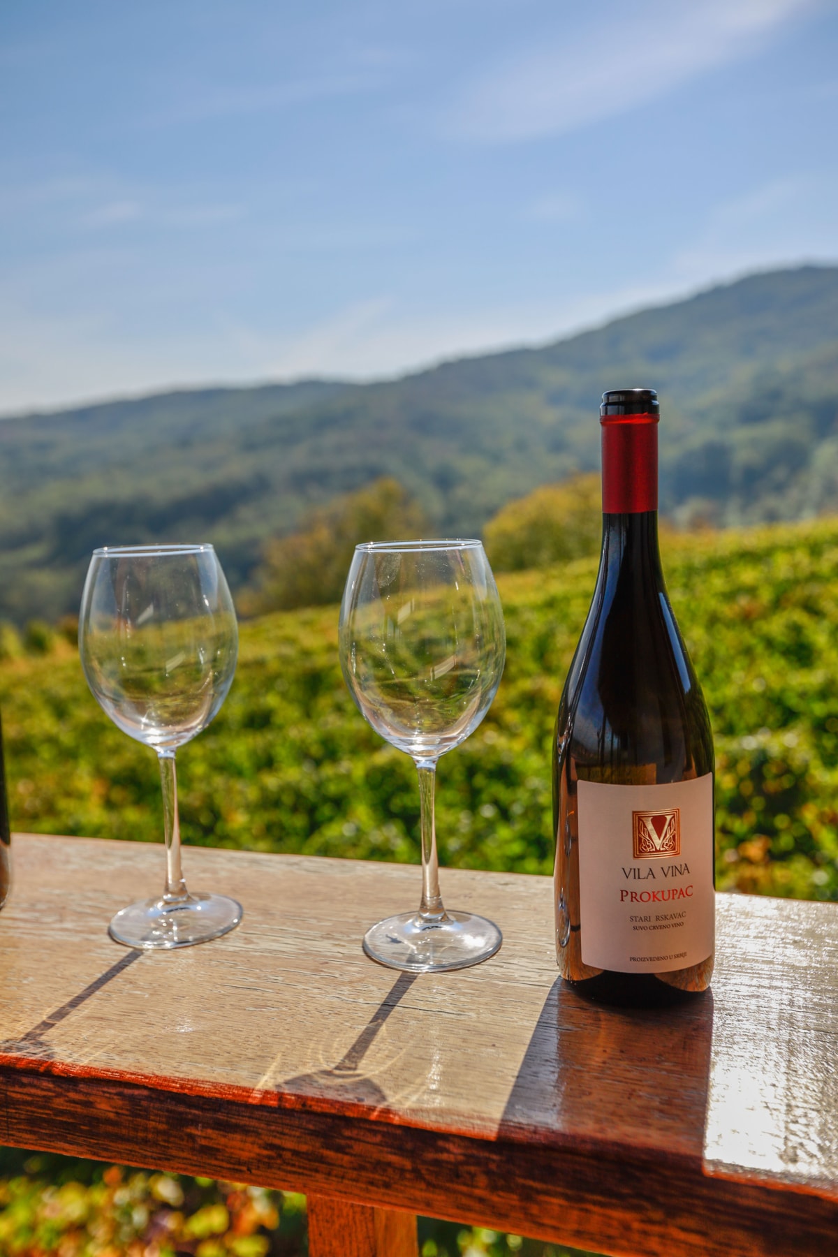 Prokupac vinarije Milosavljević - Vila Vina
