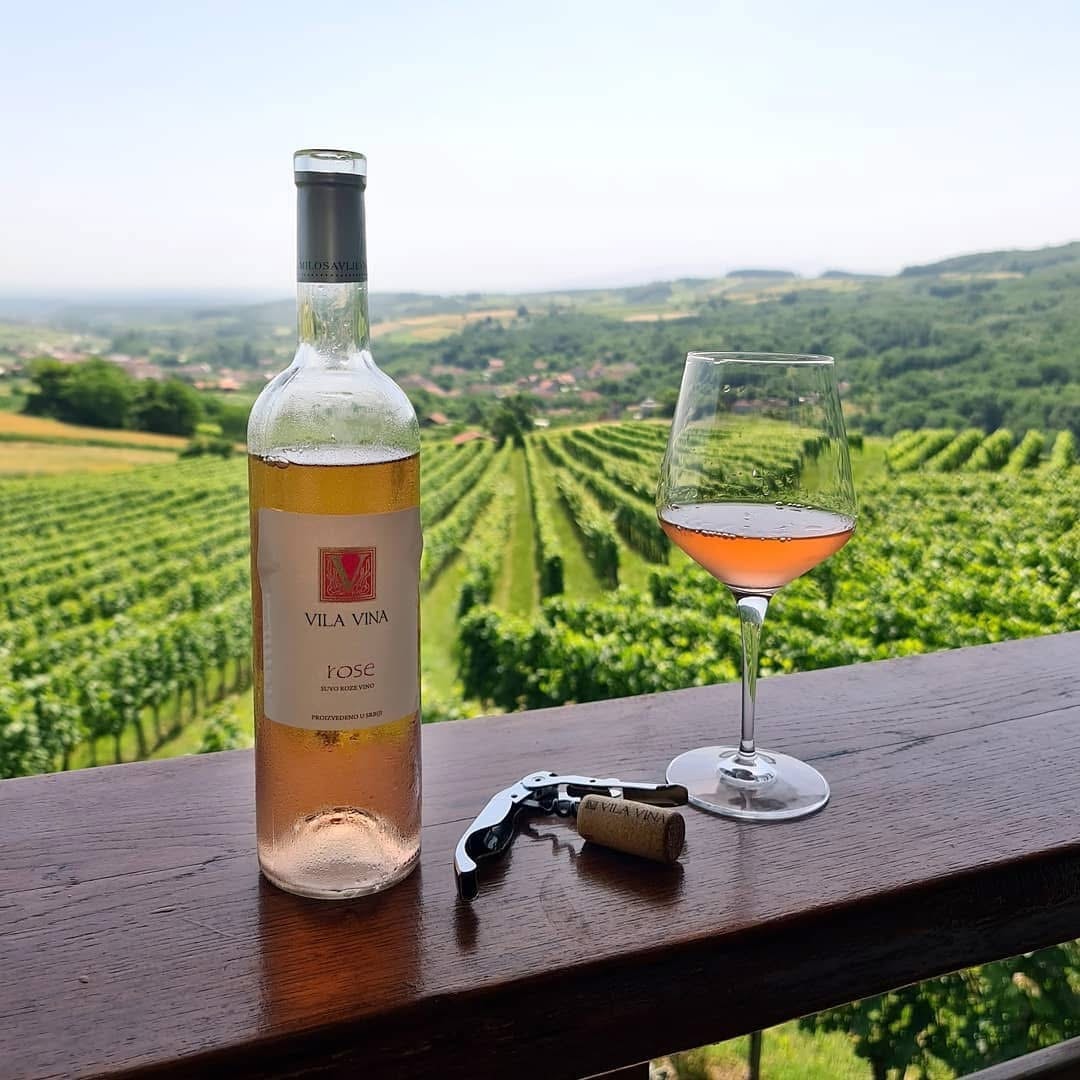 rose-vilavina Rose vinarije Milosavljević - Vila Vina