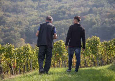 dva čoveka u vinogradu