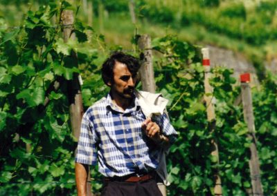 čovek šeta kroz vinograd