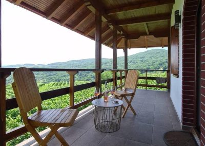 Terasa sa pogledom na vinograd vinarije Milosavljević - vina Vila