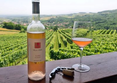 Vino Rose Vila Vina - Vinarija Milosavljević