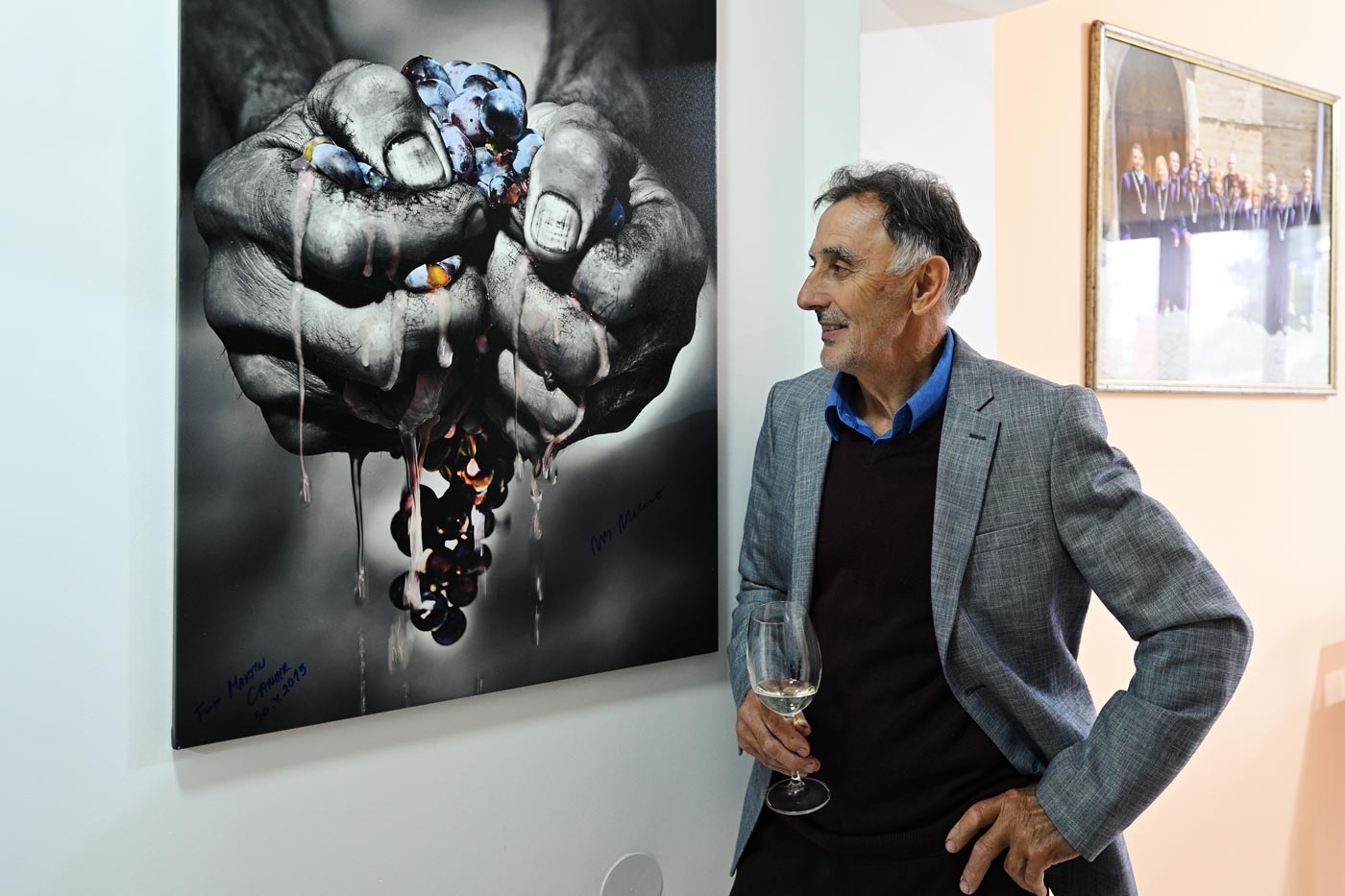 Milomir Milosavljević - Vila Vina