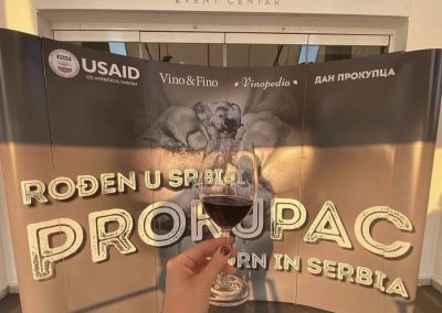 Prokupac Magnum - Vila Vina - vinarija Milosavljević